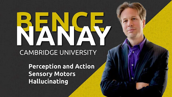 Prof. Dr. Bence Nanay | Can't touch this!