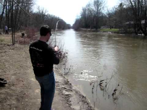 Rifle River Sucker Fishing Catch and Release 2011 - YouTube
