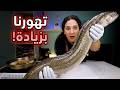 سلخنا ثعبان البحر وعملناه ب 3 طرق