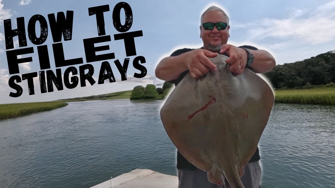How To Filet & Process Stingray w/Dale Collins of Fish or Die Charters