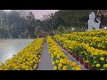 🌹ផ្កាស្បៃរឿងរៀបចំសម្រាប់បូជា ក្នុងថ្ងៃ១៥កើតខែ មាឃឆ្នំាថោះ /ព/ស/២៥៦៧ /២៤/០២/២៤ ជាបច្ច័យរួចផុតទុក្ខ