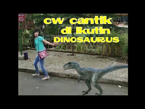 11 Taman Dinosaurus Di Indonesia Buku Tahu