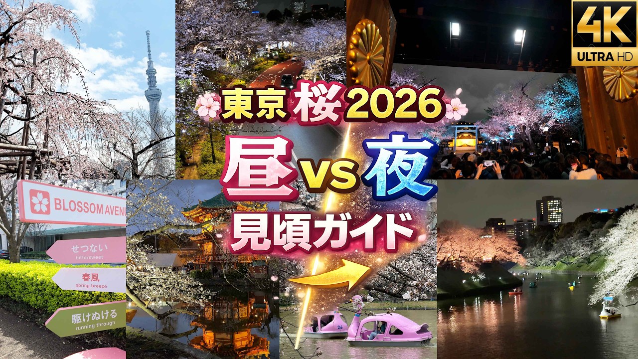 2026年保存版】東京桜の名所6選の昼夜を1日で攻略｜千鳥ヶ淵・上野公園