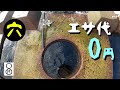 消波ブロックで穴釣り、エサ代0円。