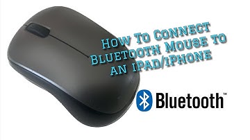 How to connect a Bluetooth mouse to an iPhone/iPad [IOS13]