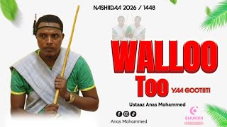 Nashiidaa 2026 WALLOO TOO... Anas muhammad. 