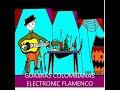 Guajiras colombianas electronic flamenco guitar