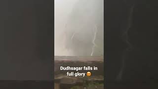 Dudhsagar Falls and Rain #shorts #monsoon #travel #youtubeindia