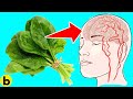15 Things That Will Happen To Your Body If You Eat Spinach Every Day