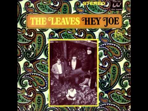 The Leaves-Hey Joe