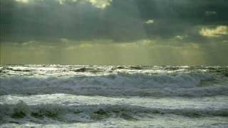Daniel Steinberg - Bailando