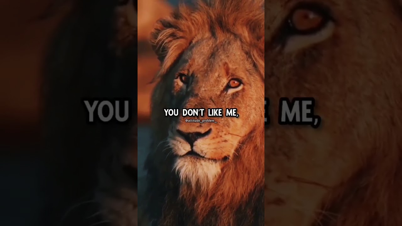 I'm 99%Sure  You Don't Like Me  The VIP Quotes Businessman Mindset Success Stories Business Idea