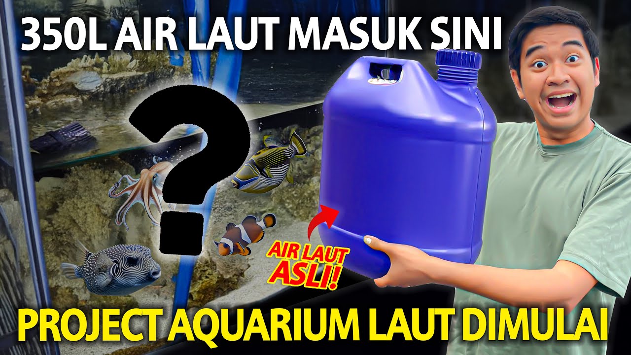 PROJECT AQUARIUM LAUT 350L DIMULAI! KITA BAKAL MASUKIN BANYAK IKAN LAUT KESINI! GAK SABAR SELESAI!