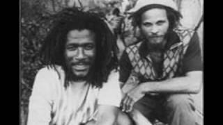 Celebrity The Congos - Solid Foundation Wealth