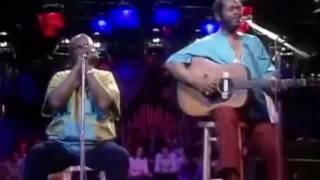 Video thumbnail of "Sonny Terry & Brownie McGhee - walk on"