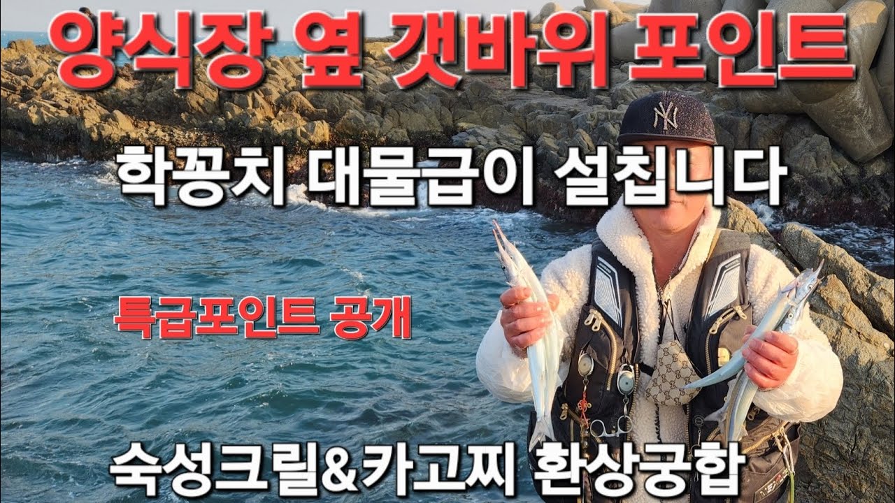 학꽁치 대사리급 나오는 도보갯바위포인트 공개(구독자분요청)|약속의시간엔100%나옴|숙성크릴이 빠릅니다.ft갯바위청소