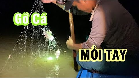 Giăng lưới đêm trên đồng mùa nước nổi - GỠ CÁ MỎI TAY | Trải Nghiệm Tổng Hợp.