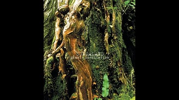 Emerson Kitamura – Coisa Mais Linda
