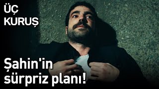 Üç Kuruş 23.  - Şahin'in Sürpriz Planı! Resimi