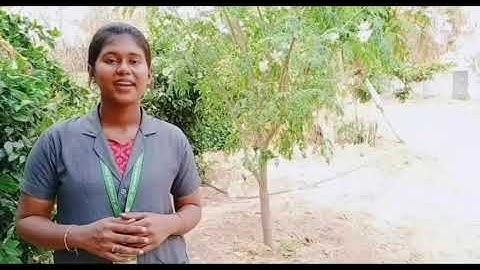 Video 2 IICDC 2019 980663 Semi final Submission Technical Interim 2