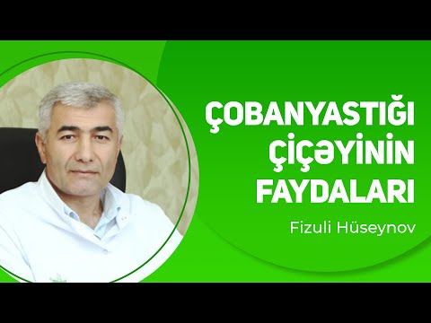 Çobanyastığı çiçəyinin faydaları | Fizuli Hüseynov