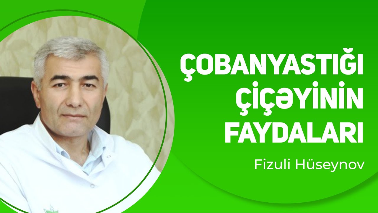 Çobanyastığı çiçəyinin faydaları | Fizuli Hüseynov