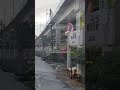 The Coast That Survived the Tsunami