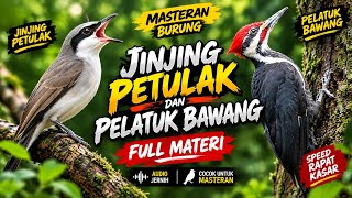 🔥 JINJING PETULAK X PELATUK BAWANG | MATERI KASAR, RAPAT & TAJAM