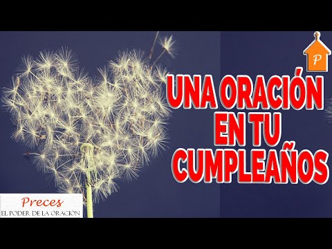 Video: ¿Cómo se usa felicitar en una oración?