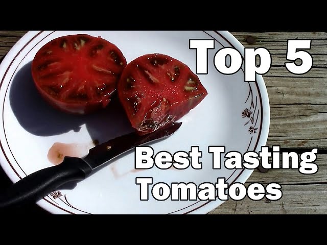 My Top 5 Best Tasting Tomatoes. - YouTube
