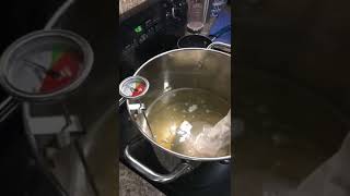 Brewing Beers