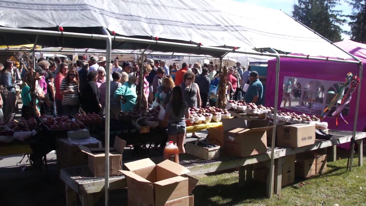 Annual Remsen New York Street Festival, Barnfest, September 2015 Part Three