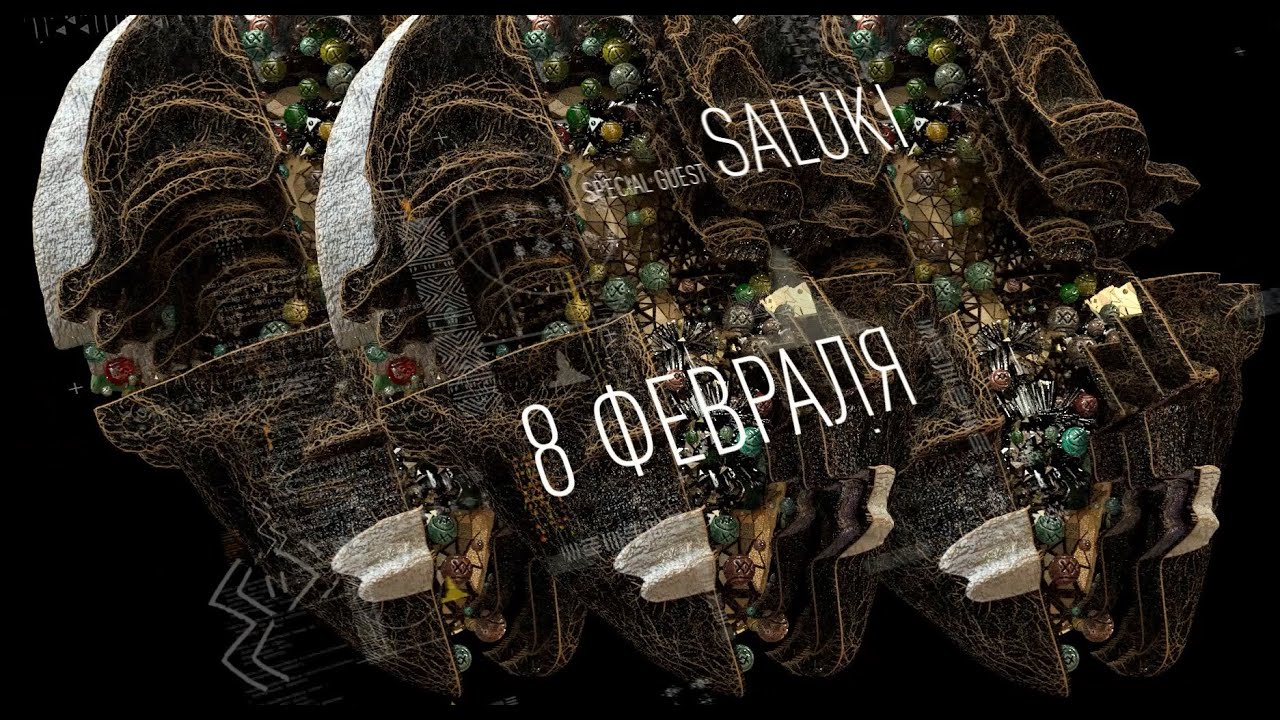 BAD ZU LIVE 8 FEB 2019