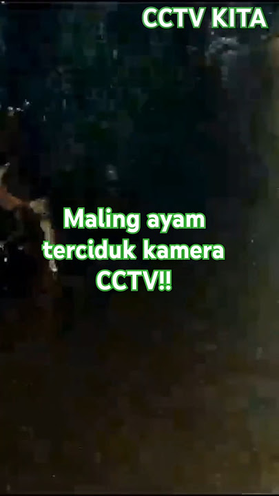 Maling ayam terekam cctv