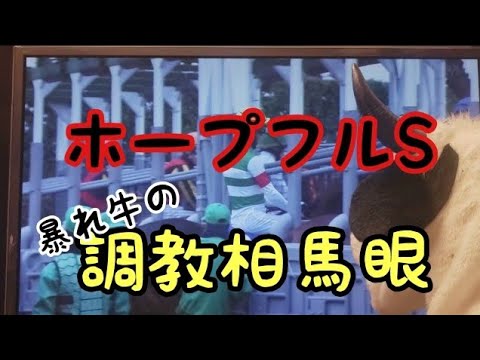【ホープフルS】調教相馬眼　【有馬記念】結果