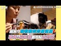 【蝦米？寵物能吃的居酒屋 串烤＋烏龍麵都可點超划算】｜ @毛起來喫寵物友善居酒屋-台中旗艦店