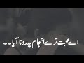Ae muhabbat teray anajam pe rona aya by safdar ali  safdarspeaks  urdu poetry  urdu shayari