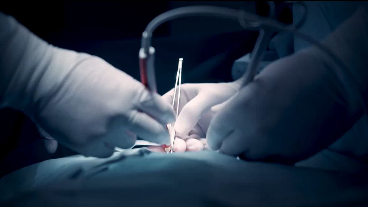 Touch of Life | A Legacy of Care by Indorama