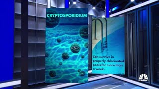 CDC warns there may be a dangerous parasite in your pool