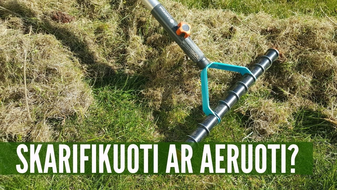 Vejos skarifikavimas 3 būdais: kodėl / kaip / kada / ką po to