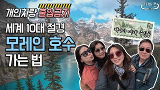 🚫올해부터 개인차량 출입금지🚫 세상에서 가장 아름다운 호수 셔틀타고 가는 법 | 캐나다 록키 모레인 호수 물 색깔 실화? | 존스턴 협곡 하이킹 코스 | 밴프 2일차 여행 일정