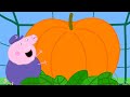 Peppa Pigs Pumpkin Contest 🐷 🎃 Playtime With Peppa