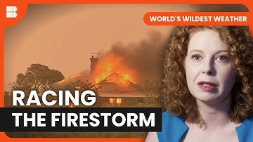 Surviving the Australia Fires | World