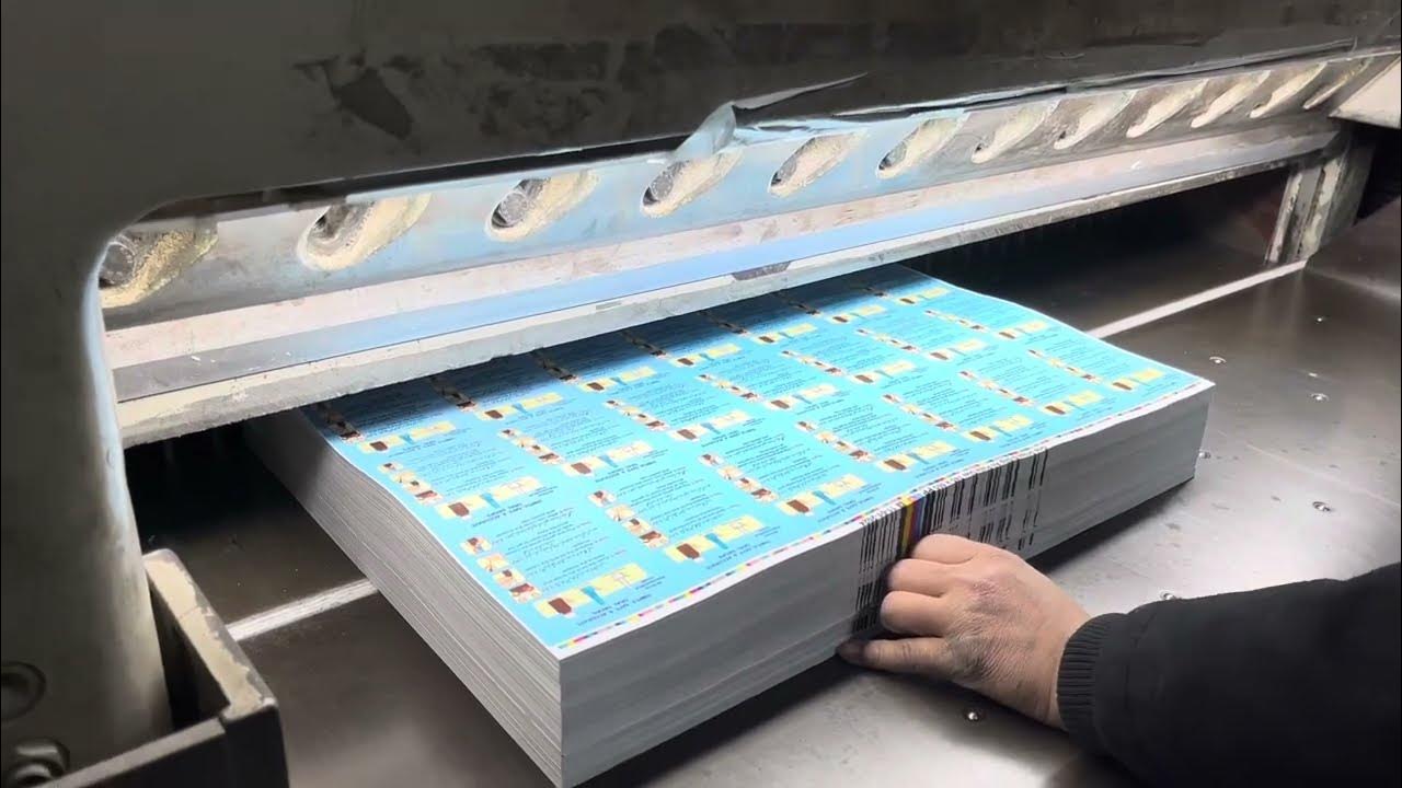 Paper cutting technique they cut thousands off paper together YouTube