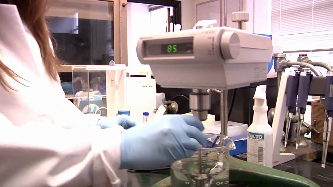 Nanomedicine IGERT @ Northeastern