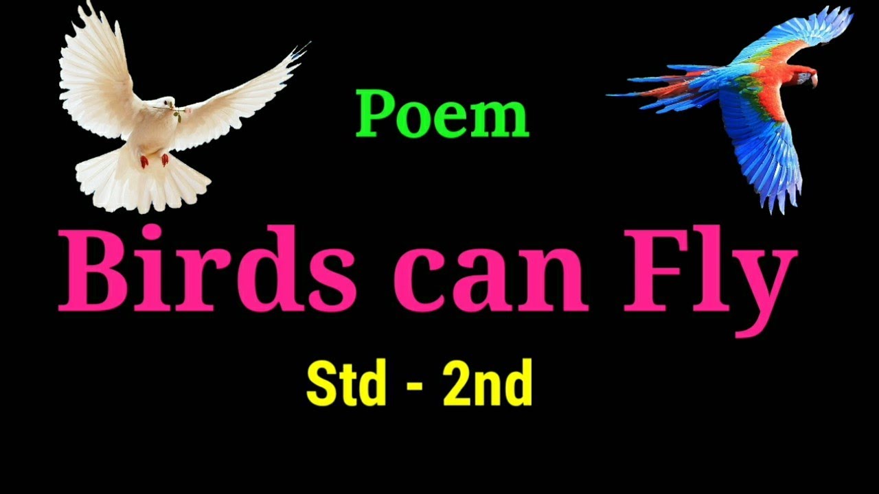 Can bird fly перевод. Can bird fly перевод