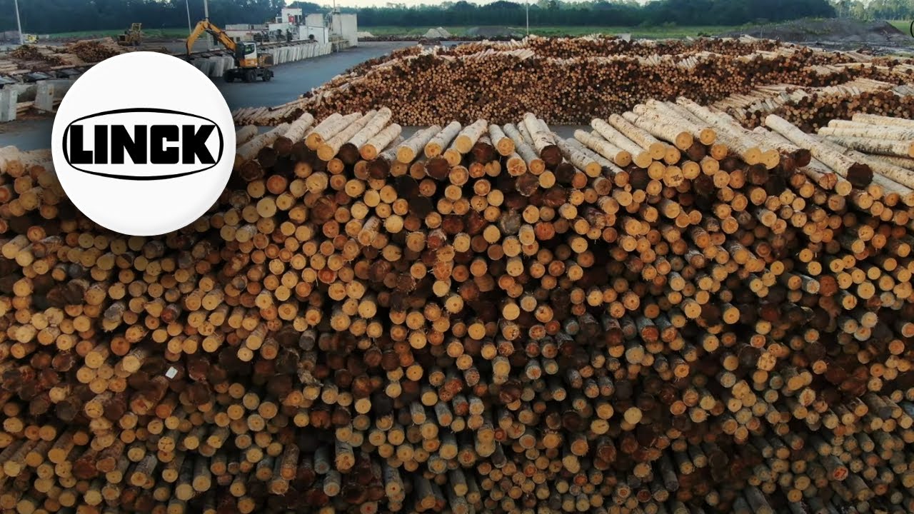 Discover a LINCK Sawmill in Florida – 1M m³ Southern Yellow Pine / 300 MMBF
