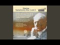 Miniature de la vidéo de la chanson Symphony No. 2 In D Major, Op. 43: I. Allegretto