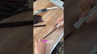 Do Not Buy Vanilla Extract From The Store