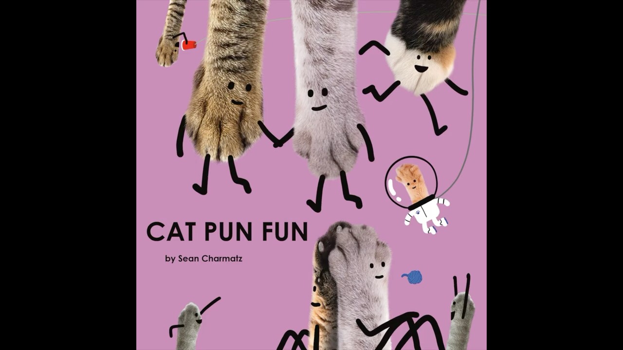 CAT PUN FUN 